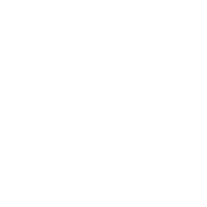 上海柴油机股份有限公司